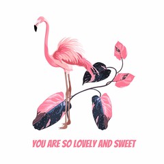 Exotic pink flamingo birds with leaves branch and motivational phrase. T-short print. Detailed vector design illustration. 