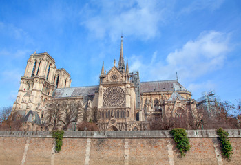 Fototapeta na wymiar Cathedrale Notre Dame famous attraction of Paris 
