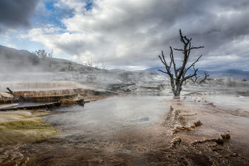 Moody, foggy hot spring pool, Mammoth Hot Springs, Yellowstone National Park