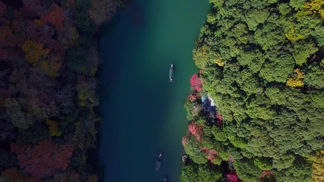 Aerial view of colorful Arashiyama River with tourist boats in water and forest in autumn colors, Katsura river at autumn and boats, Arashiyama, Kyoto, Japan.