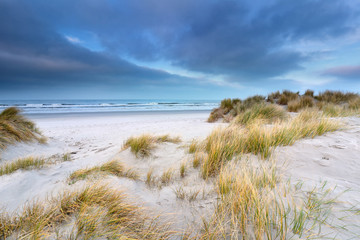 Fototapeta na wymiar beautiful dunes by North sea beach