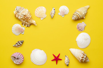 Hello Summer pattern background. Frame of White seashells, red starfish isolated on yellow backdrop. Top view travel or vacation concept. Flat lay