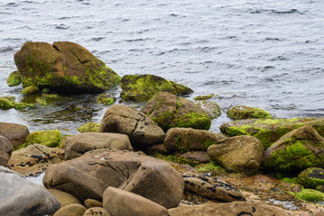 Mossy rocks in the seaside