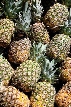 Lots of pineapple fruit on a asian street market.Images for printing, advertising, travel magazines and more with hight quality.