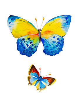 Watercolor illustration of two blue butterflies isolated on white background