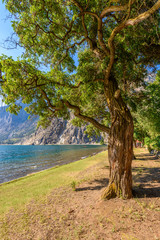 Mountain landscape with blue Seton Lake in Coastal Mountains. Lillooet, British Columbia, Canada.