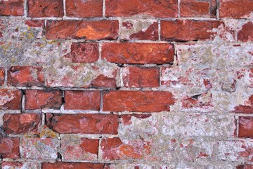 Obraz premium brick wall background