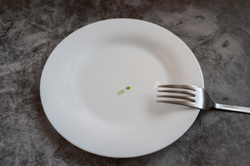 Empty white plate with small peas and a metal fork on a gray background. The concept of anorexia, weight loss, starvation, lack of food. Improper nutrition.