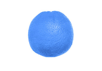 Ripe blue orange isolated on white background with copy space for text or images.