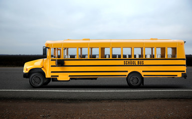 Fototapeta na wymiar Yellow school bus on road outdoors. Transport for students