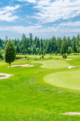 Golf course with gorgeous green and pond.