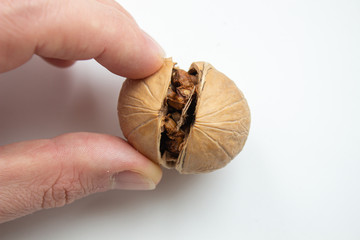 walnuts food nut in hand on white background isolation