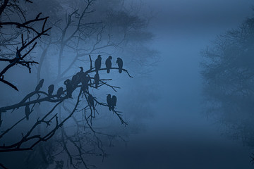 Nature at it's best