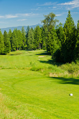 Golf place with gorgeous green