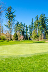 Fototapeta premium Golf course with gorgeous green