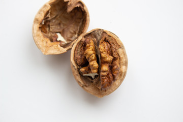 Walnut close - up isolated on a white background.