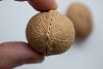 walnuts food nut in hand on white background isolation
