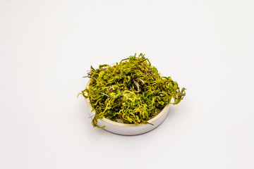 Green moss isolated on white background. Decorative element, in ceramic plate