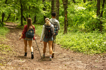 Group of young people hiking trough forest.	