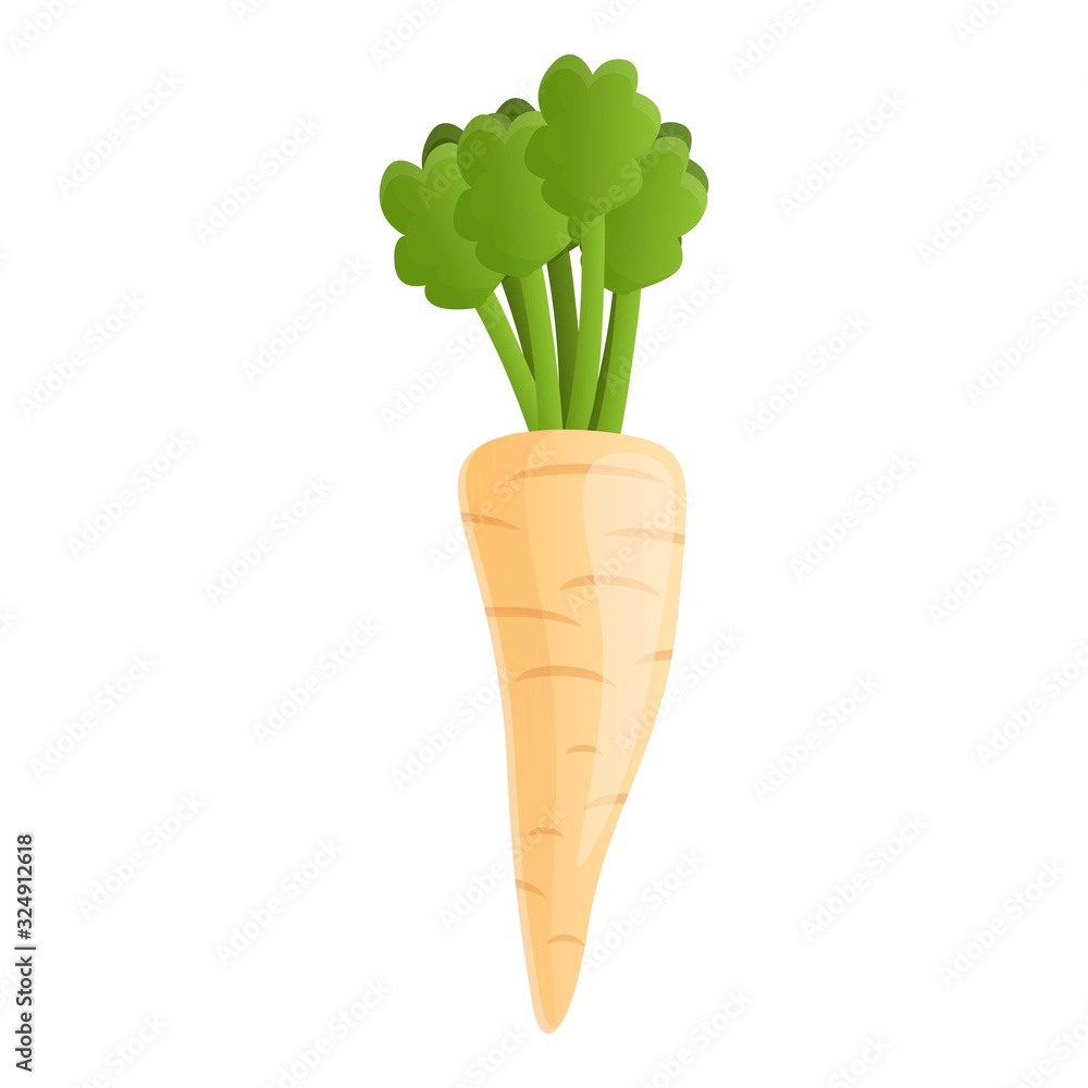 Poster vitamin parsnip icon. cartoon of vitamin parsnip vector icon for web design isolated on white backgr