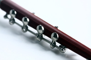 Fototapeta premium tenora vents close up isolated on white background