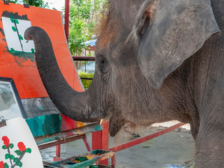 An elephant enjoys painting by holding a brush with his trunk
