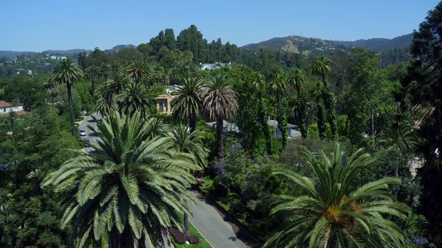 Aerial, Palm Trees In Brentwood California