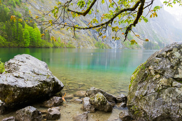 lake in the forest - Obersee - Germany