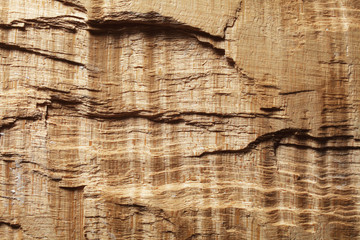 wood maple sycamore background texture