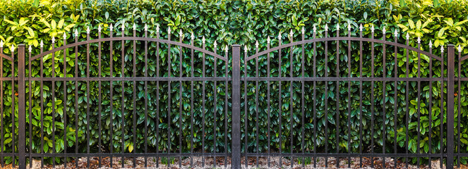  black iron fence. metal fence