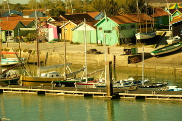 mon île cabane