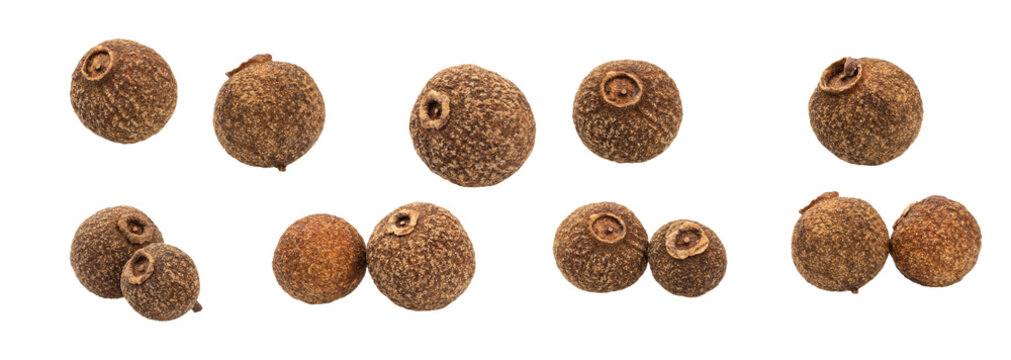 allspice isolated