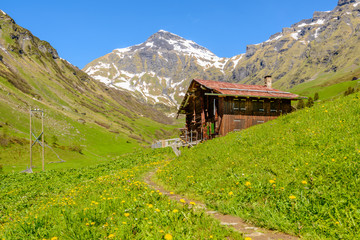 View of beautiful landscape in the Alps with fresh green meadows and snow-capped mountain tops in the background on a sunny day with blue sky and clouds in springtime.