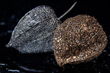 Phisalis. Silver skeleton of phisalis / Macro photo for disign of invitations, postcards, like canvas for text and congratulations.