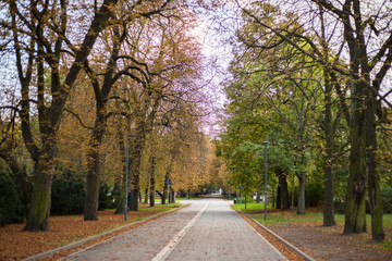Fototapeta na wymiar Agrykola Park in Warsaw, Poland