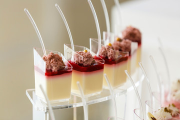 Delicious pink and white panna cotta dessert with red mousse. Close up, white background