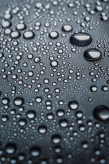 Water rain drops or water drops on white background. Many water drops  on canvas