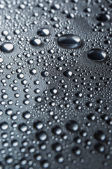 Water rain drops or water drops on white background. Many water drops  on canvas