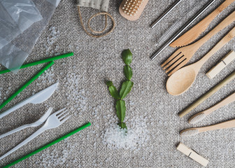 a set of platonic and wooden utensils and a plant that grows from plastic granules. Environment...