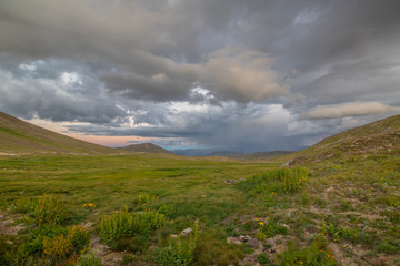 Naklejka na ściany i meble Deosai Plains, plateau situated on 14,000 feed altitude near famous Nanga Parbat Mountain.