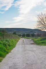 field landscape photography