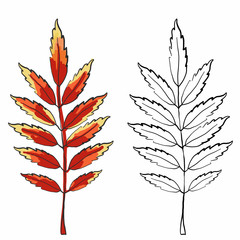 Leaves coloring book. For books. Coloring book for children and adults. Vector leaves.