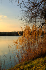 Sonnenuntergang im Vogelschutzgebiet NSG Garstadt bei Heidenfeld im Landkreis Schweinfurt, Unterfranken, Bayern, Deutschland