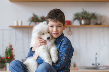  Boy, home, samoyed puppy, fun