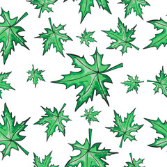 Seamless pattern with maple leaves on an isolated background. Windy colored leaves.