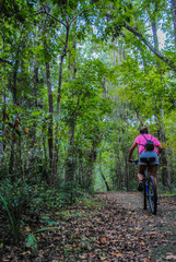 Obraz premium young woman riding a bicycle in the forest