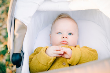 this cute boy is lying in a wicker basket in the Park in a clearing strewn with autumn leaves, in the autumn time
