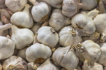 Pile of white garlic. Focus in the center, blurred edges.