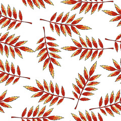 Seamless pattern with leaves on an isolated background. Windy colored leaves.