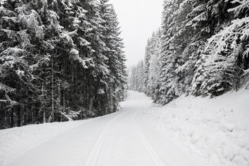 winter landscape of snow on road with pine tree forest 